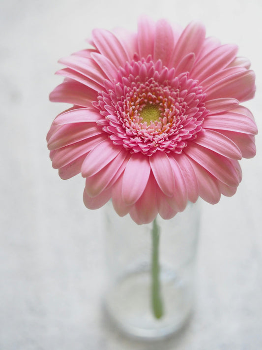 Breast Cancer: What You Should Know💗