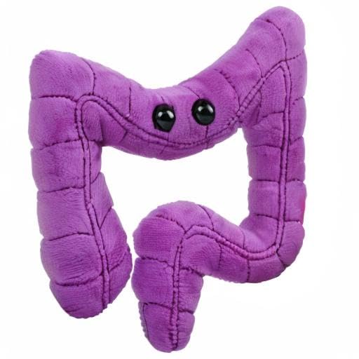 GIANTmicrobes Colon Plush, Colonoscopy Gift, Funny Colon Gifts, Colorectal Cancer Awareness