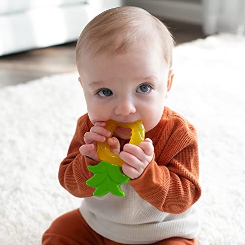 Dr. Brown's AquaCool Water-Filled Baby Teether, Cools & Massages Sore Gums, BPA Free, 2 Pack, 3m+