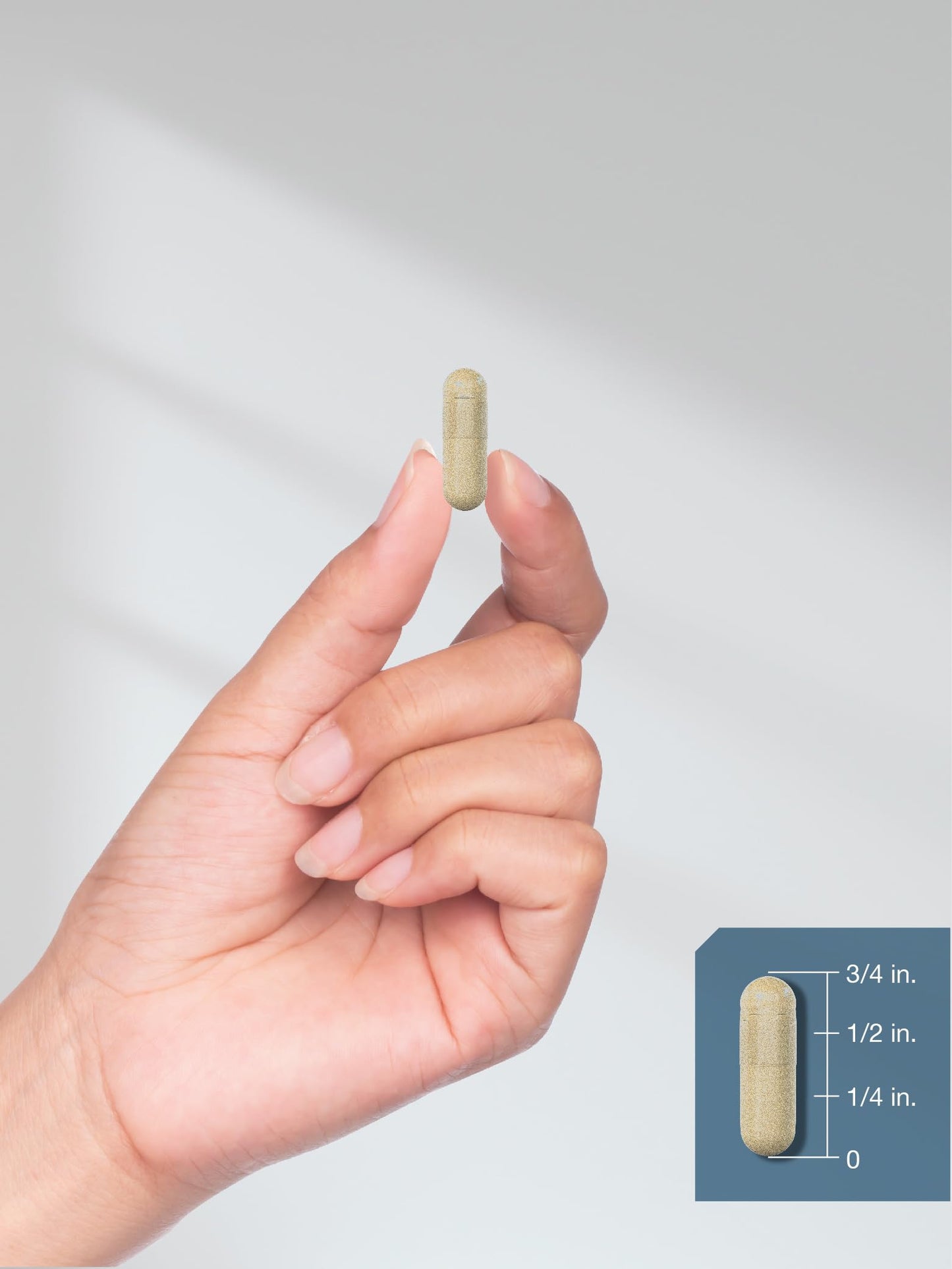 Horbäach Luteolin Complex Supplement | with Rutin | 50 Capsules