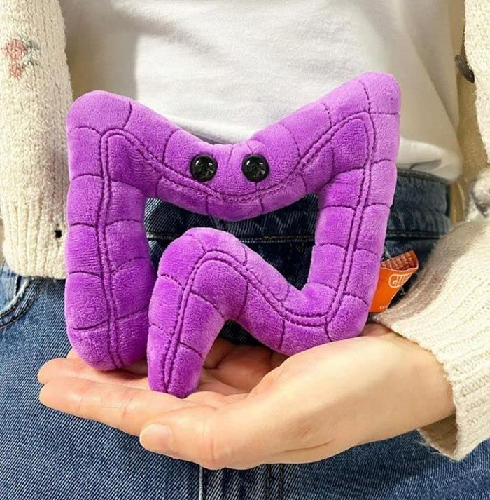 GIANTmicrobes Colon Plush, Colonoscopy Gift, Funny Colon Gifts, Colorectal Cancer Awareness