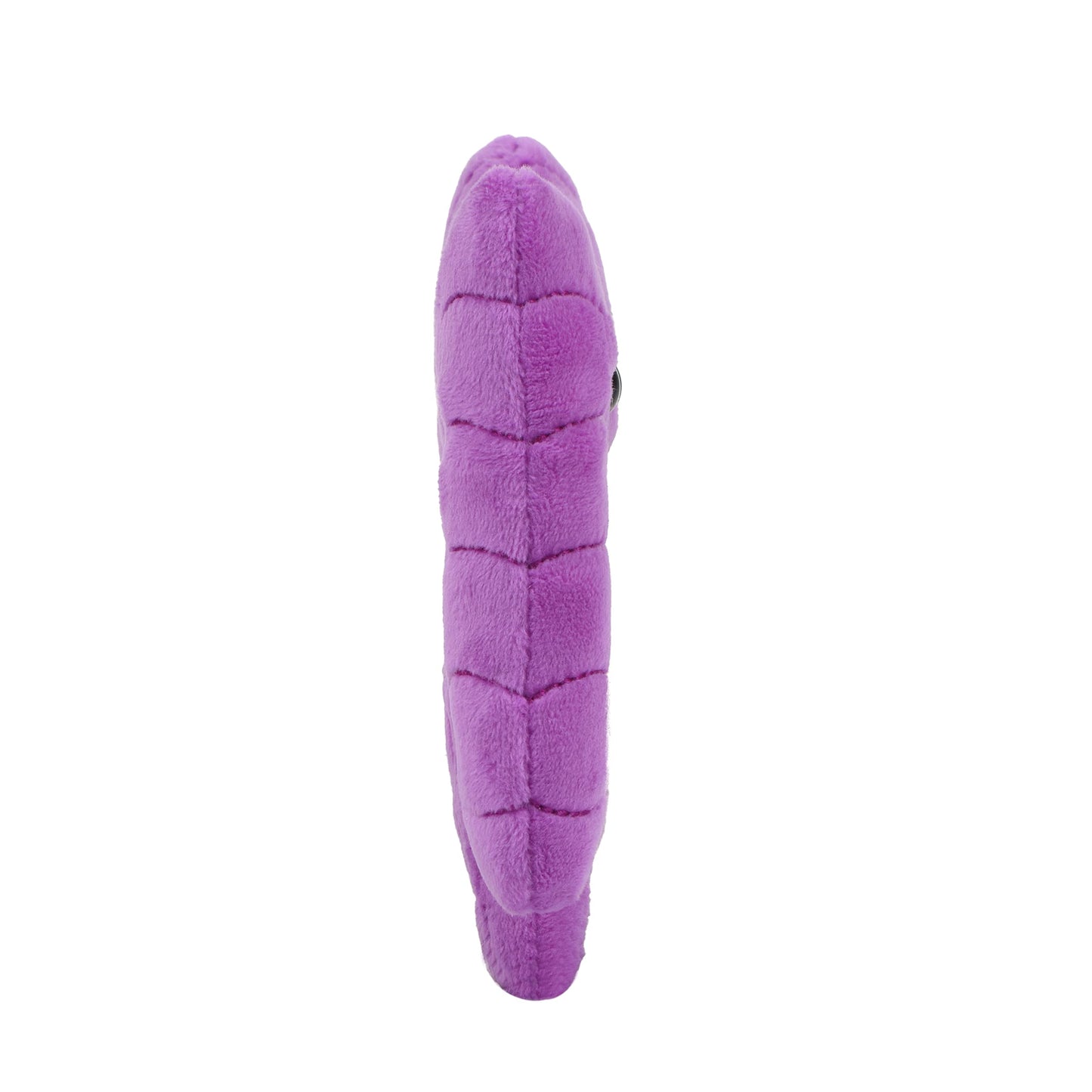 GIANTmicrobes Colon Plush, Colonoscopy Gift, Funny Colon Gifts, Colorectal Cancer Awareness