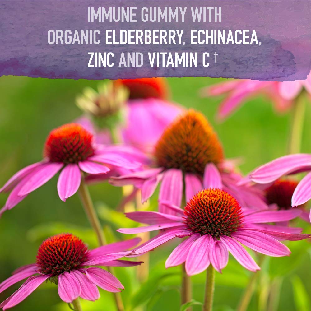 Garden of Life Organics Elderberry Gummies for Adults & Kids, 120 Vegan Gluten Free Gummies