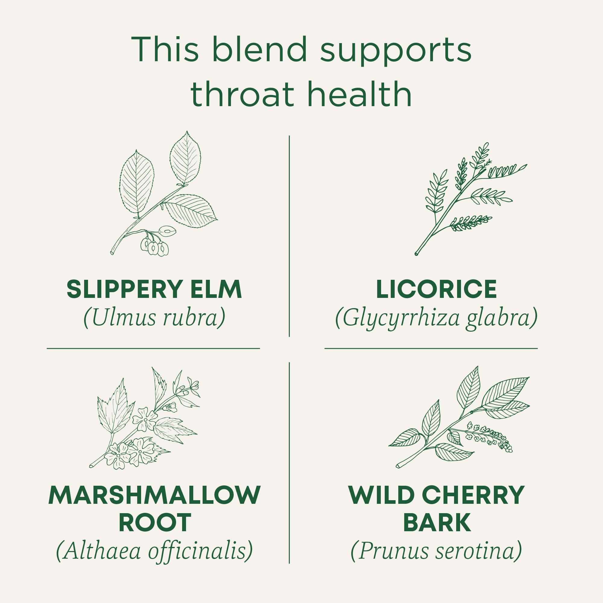 Traditional Medicinals Tea, Organic Throat Coat, 96 Tea Bags (6 Pack)