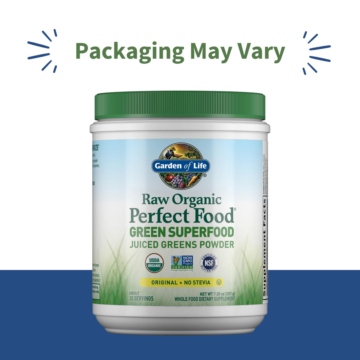 Garden of Life Raw Organic Perfect Food Green Superfood Juiced Greens Powder