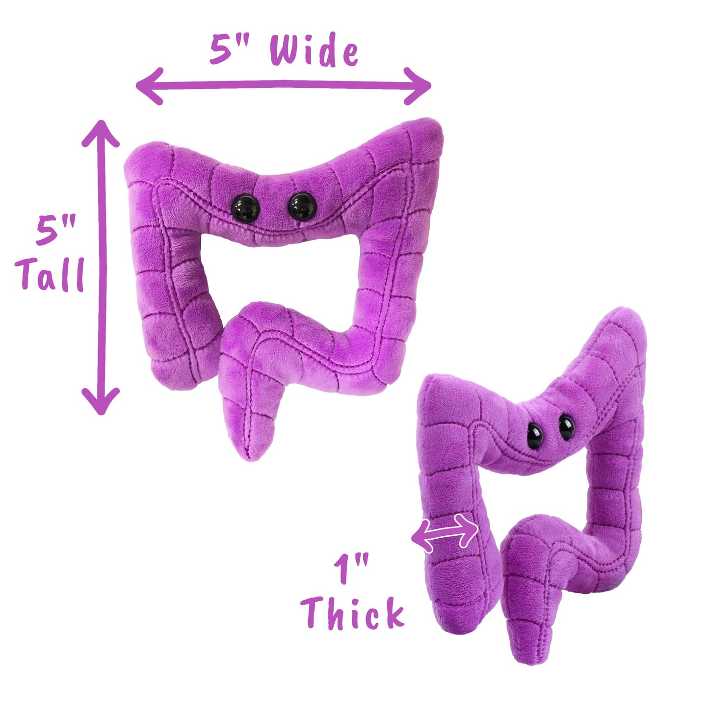 GIANTmicrobes Colon Plush, Colonoscopy Gift, Funny Colon Gifts, Colorectal Cancer Awareness