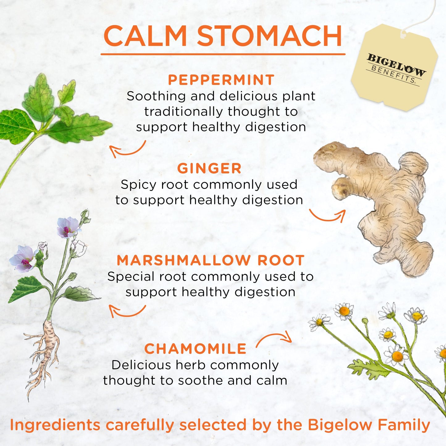 Bigelow Tea Benefits Calm Stomach Ginger Peach Herbal Tea