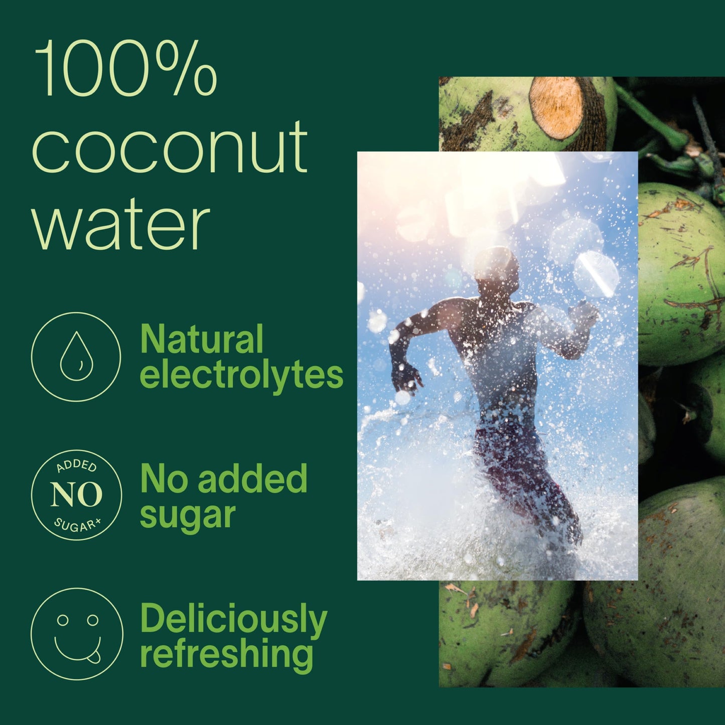 Zico 100% Coconut Water, NO added Sugar, Hydration with Electrolytes, 16.9 Fl Oz (Pack of 12)