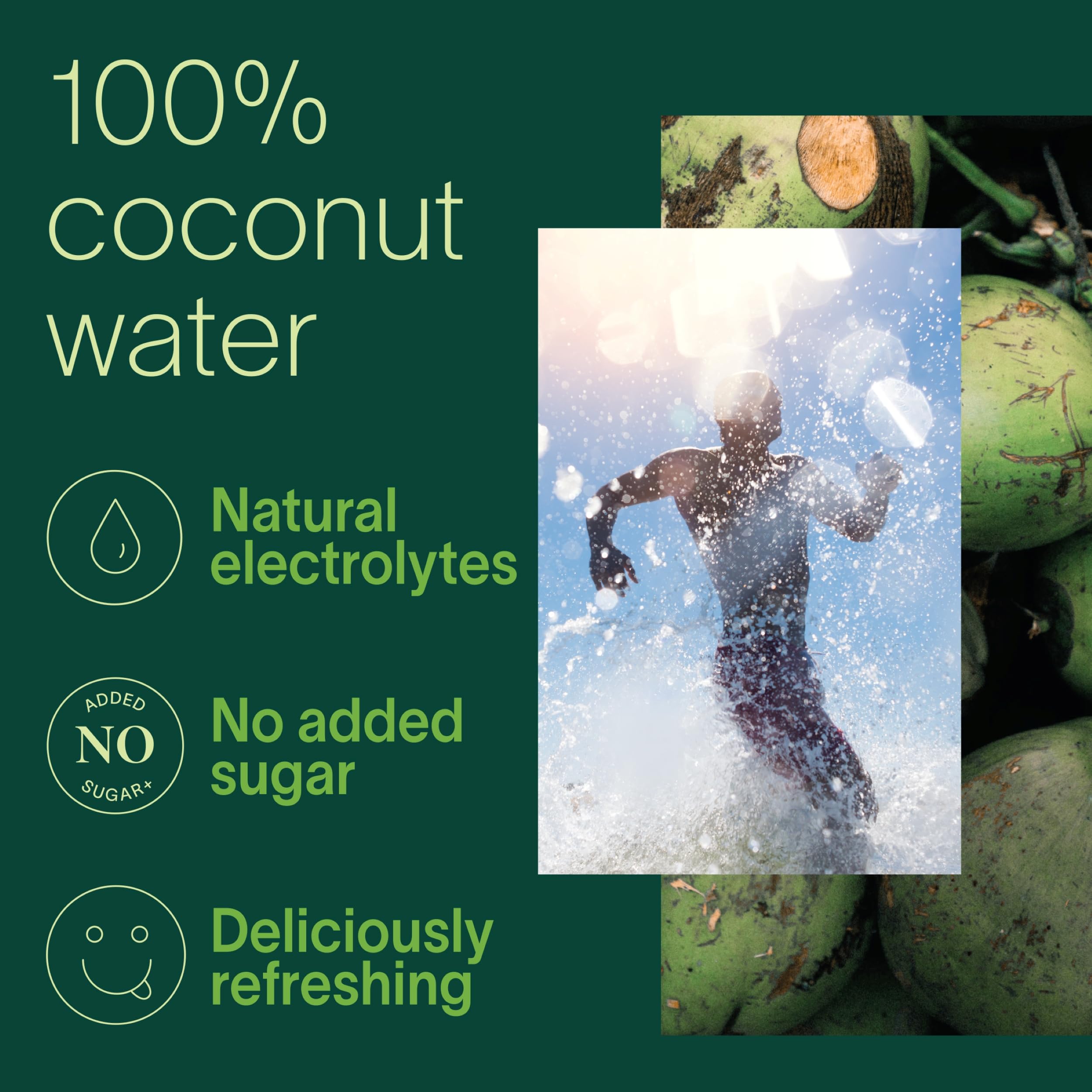 Zico 100% Coconut Water, NO added Sugar, Hydration with Electrolytes, 16.9 Fl Oz (Pack of 12)