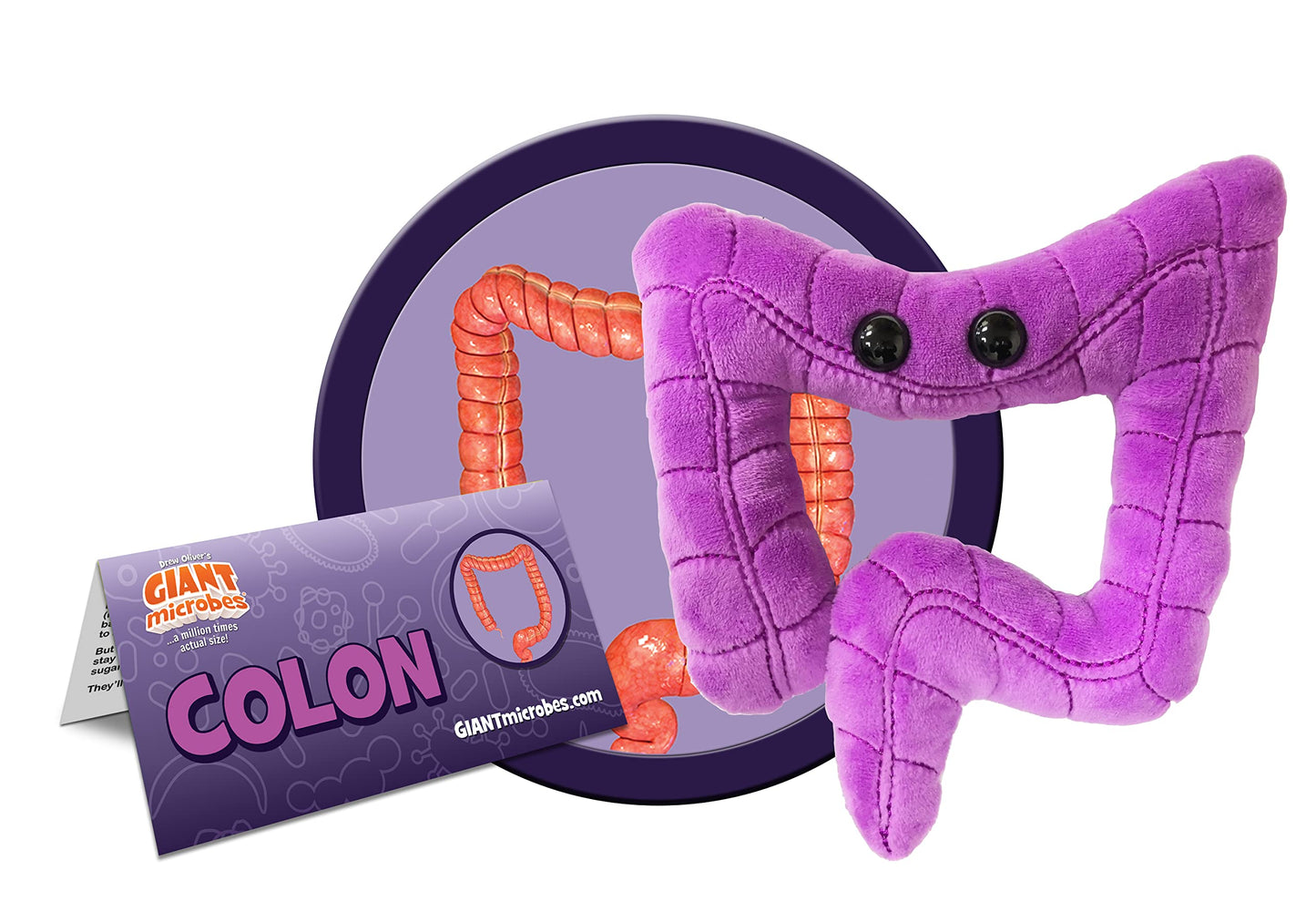 GIANTmicrobes Colon Plush, Colonoscopy Gift, Funny Colon Gifts, Colorectal Cancer Awareness