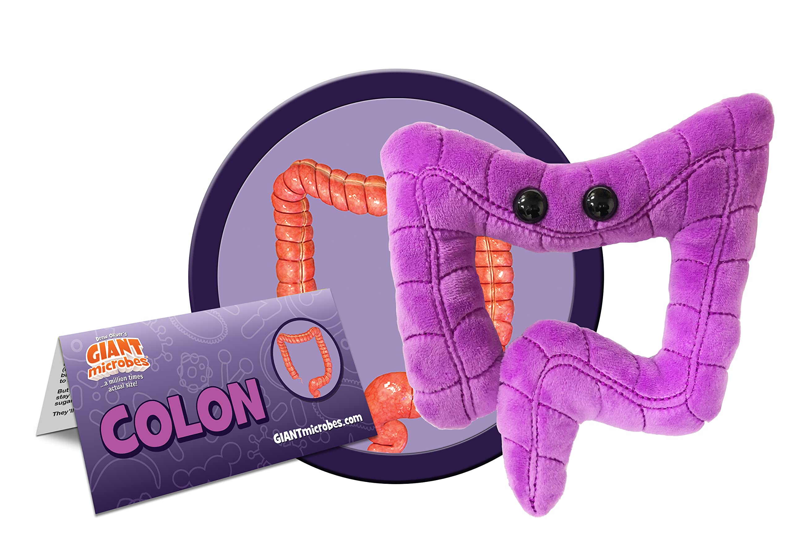 GIANTmicrobes Colon Plush, Colonoscopy Gift, Funny Colon Gifts, Colorectal Cancer Awareness