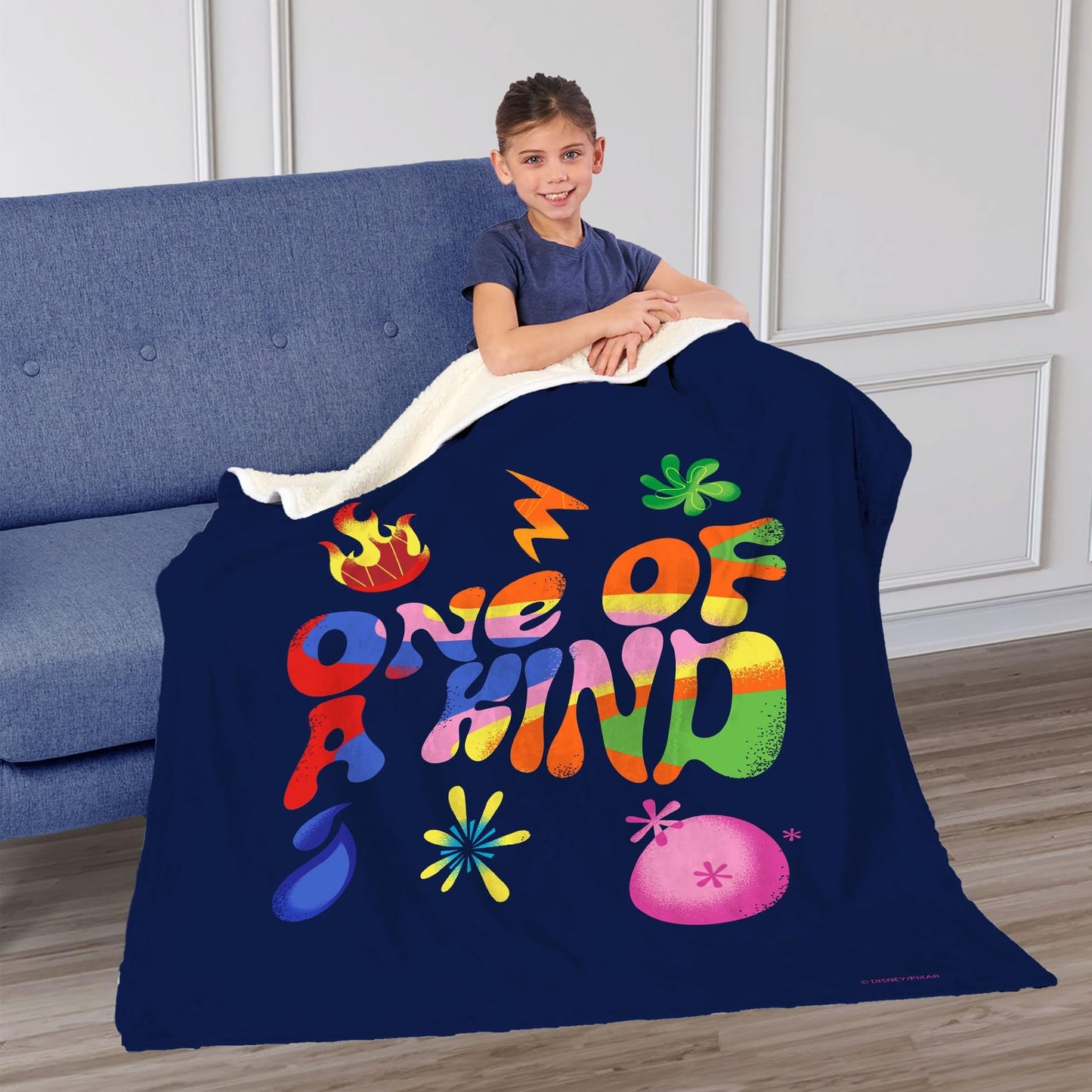 Northwest Inside Out Silk Touch Sherpa Throw Blanket, 50" x 60", One of a Kind