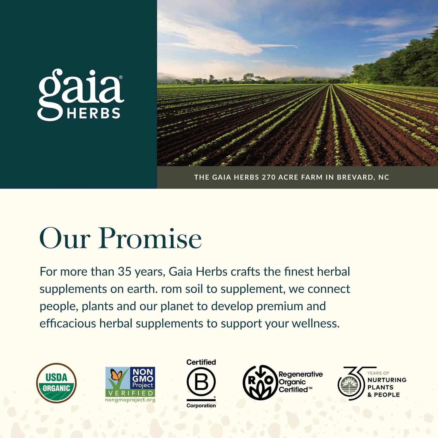 Gaia Herbs Black Elderberry(Sambucus Nigra) Syrup Extra Strength, 3 Fl Oz(18-Day Supply)