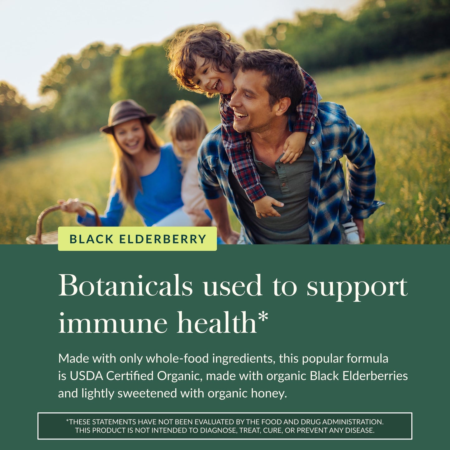 Gaia Herbs Black Elderberry(Sambucus Nigra) Syrup Extra Strength, 3 Fl Oz(18-Day Supply)