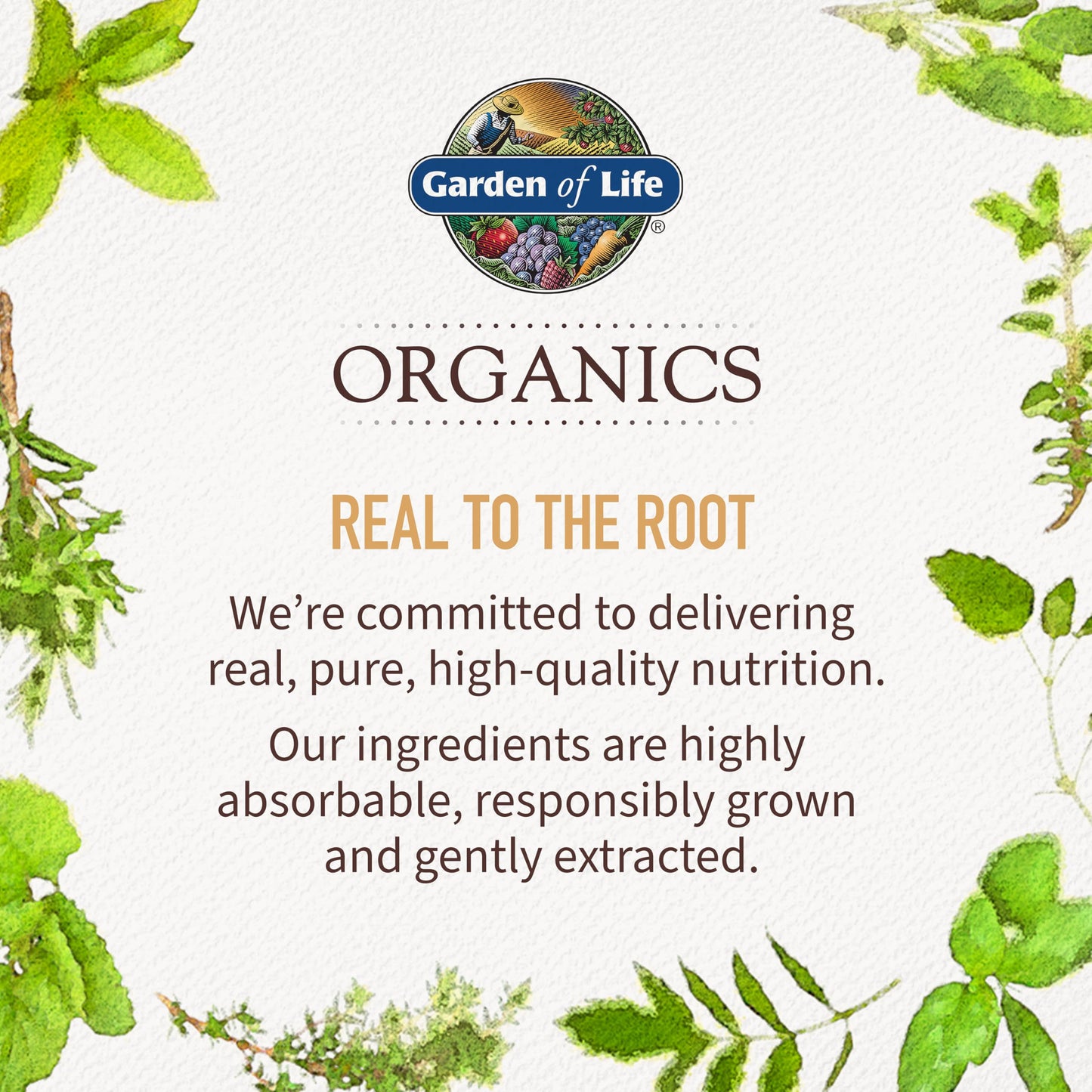 Garden of Life Organics Elderberry Gummies for Adults & Kids, 120 Vegan Gluten Free Gummies