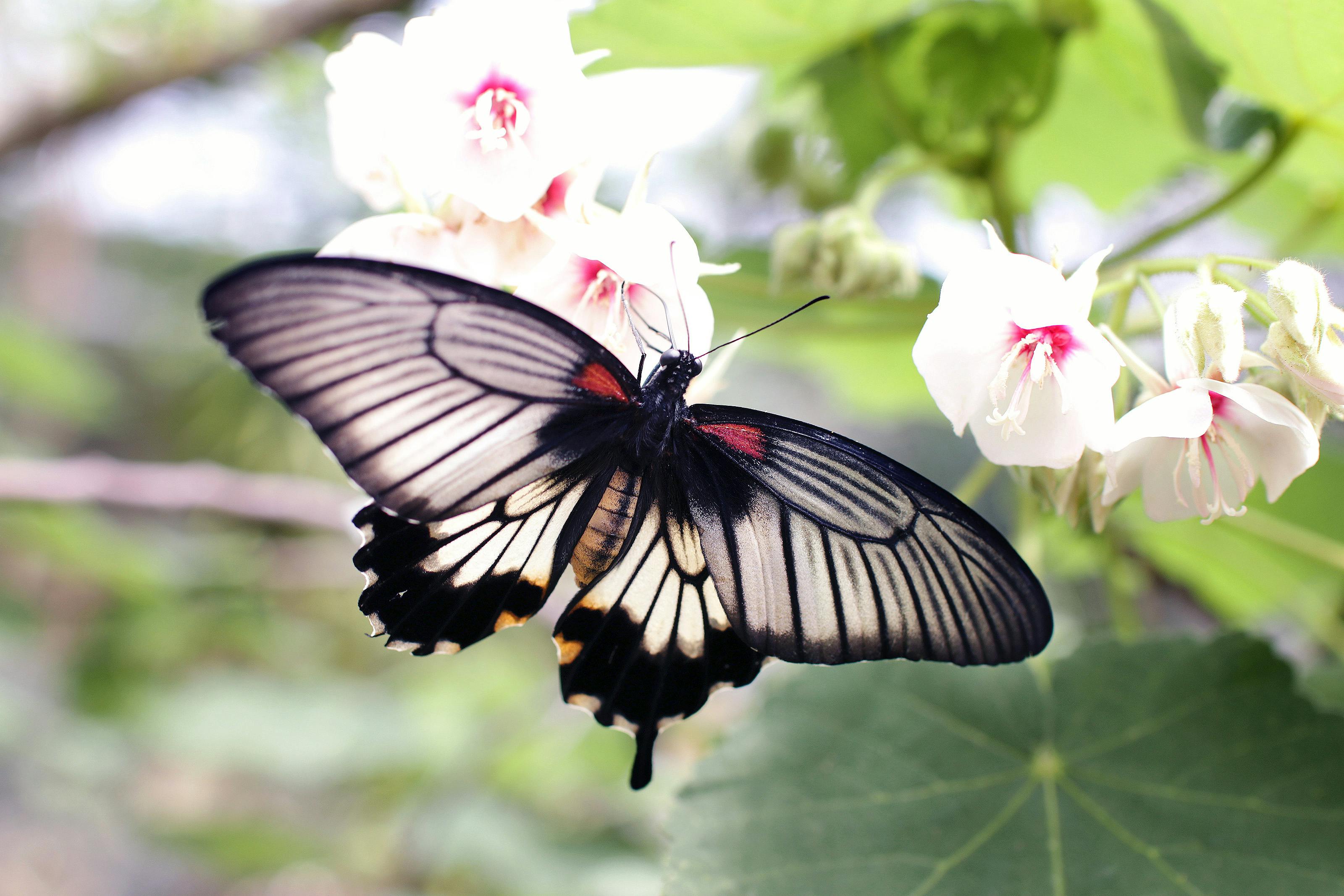 Calm the Chaos: Effective Ways to Treat Anxiety