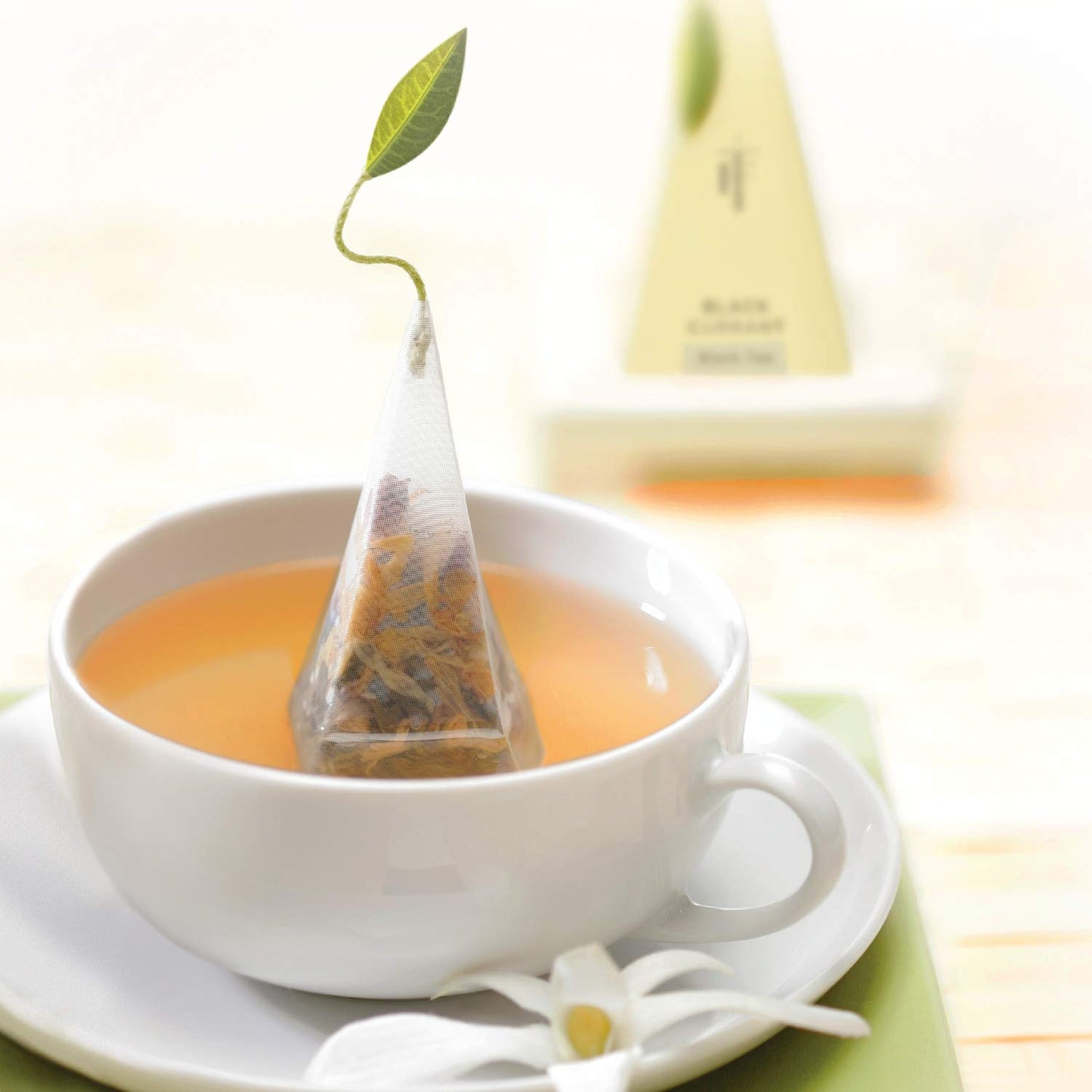 Tea Forte Herbal Retreat Organic Caffeine Free Premium Herbal Tea, 10 Handcrafted Pyramid Tea Bag Infusers