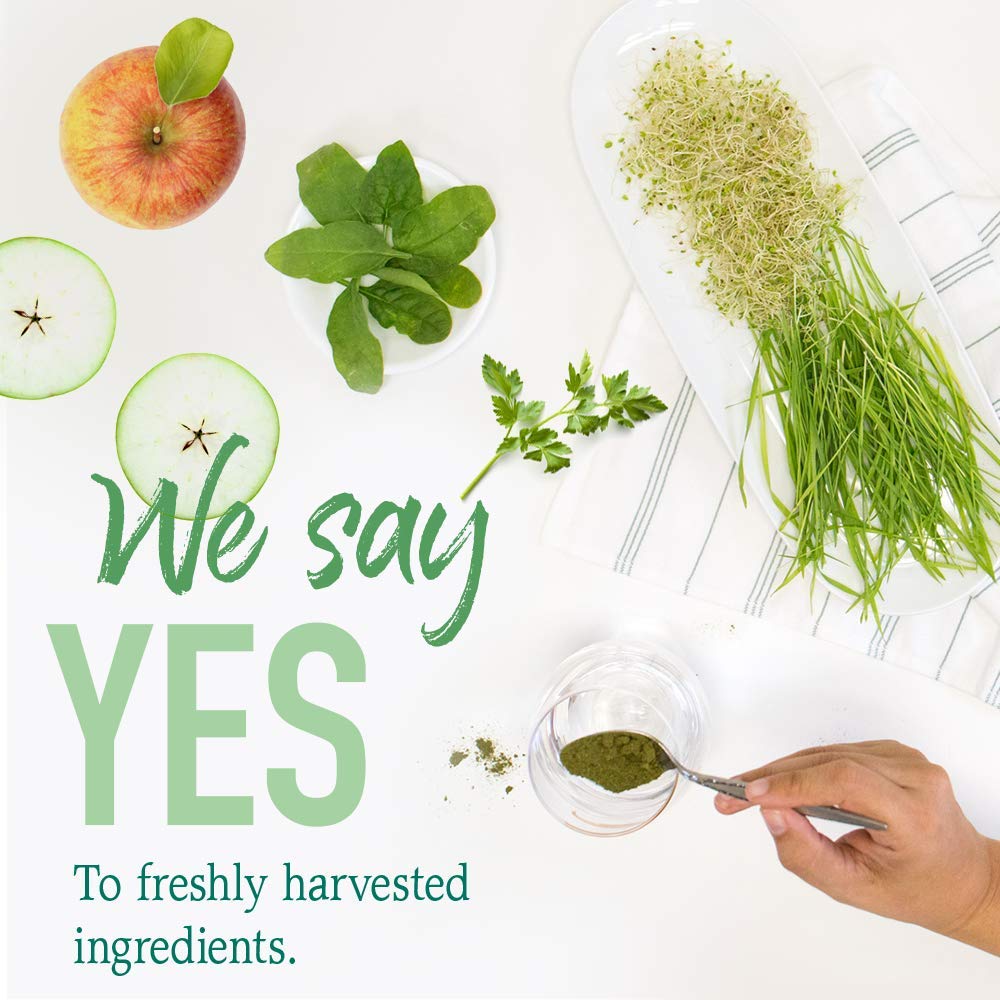 Garden of Life Raw Organic Perfect Food Green Superfood Juiced Greens Powder