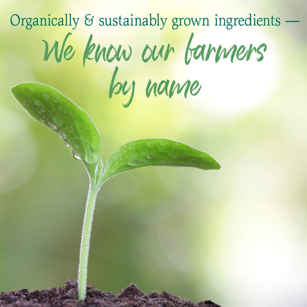 Garden of Life Raw Organic Perfect Food Green Superfood Juiced Greens Powder