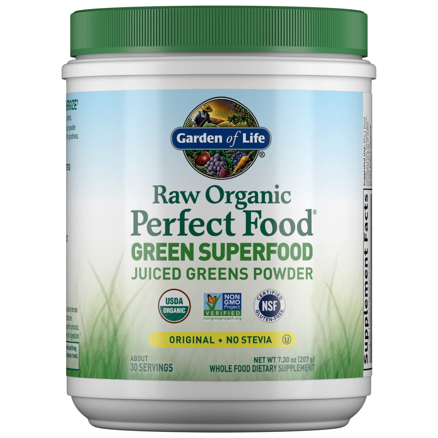 Garden of Life Raw Organic Perfect Food Green Superfood Juiced Greens Powder