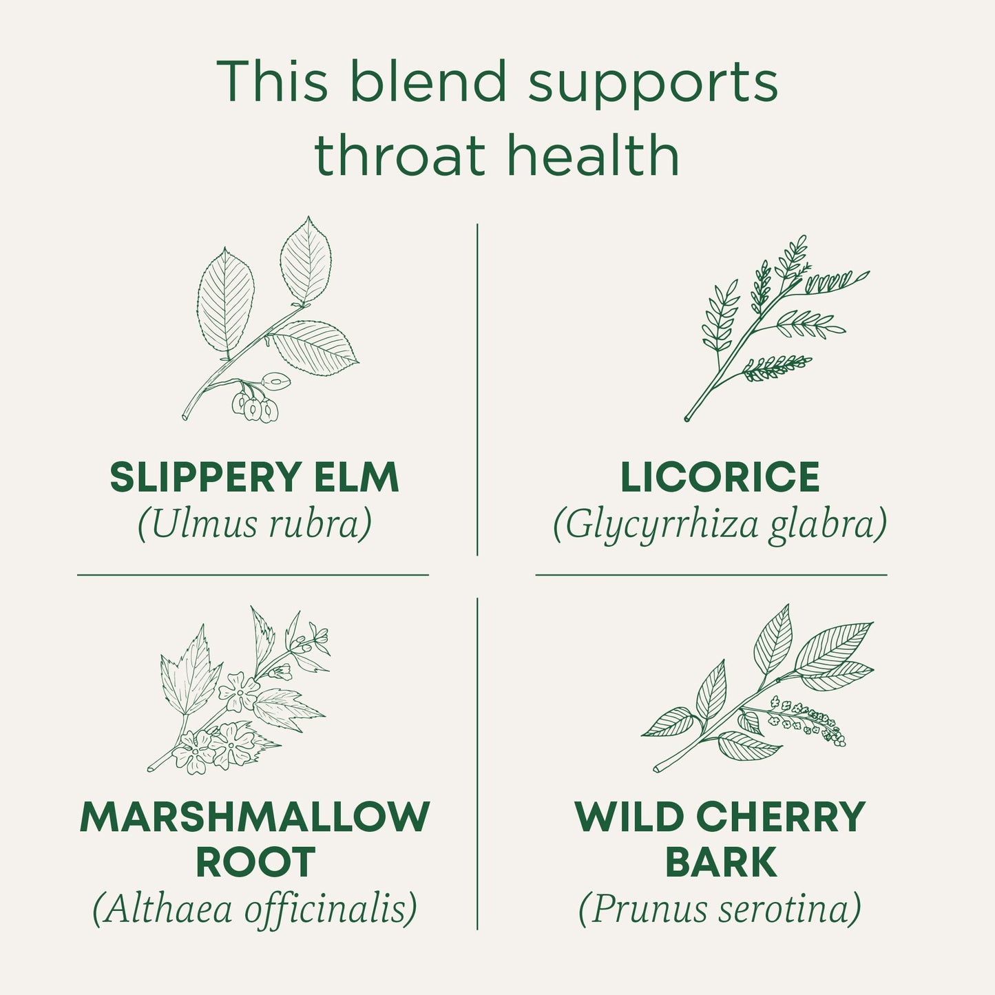 Traditional Medicinals Tea, Organic Throat Coat, 96 Tea Bags (6 Pack)