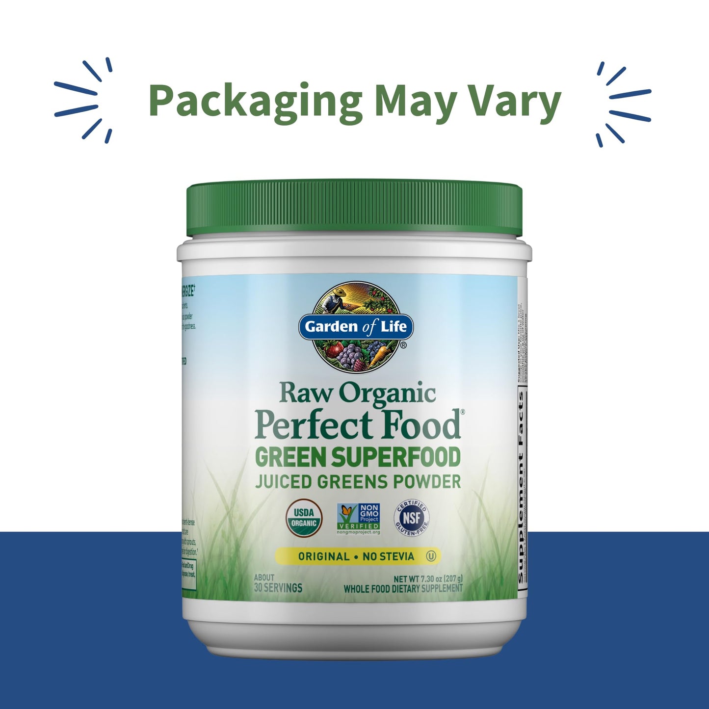 Garden of Life Raw Organic Perfect Food Green Superfood Juiced Greens Powder