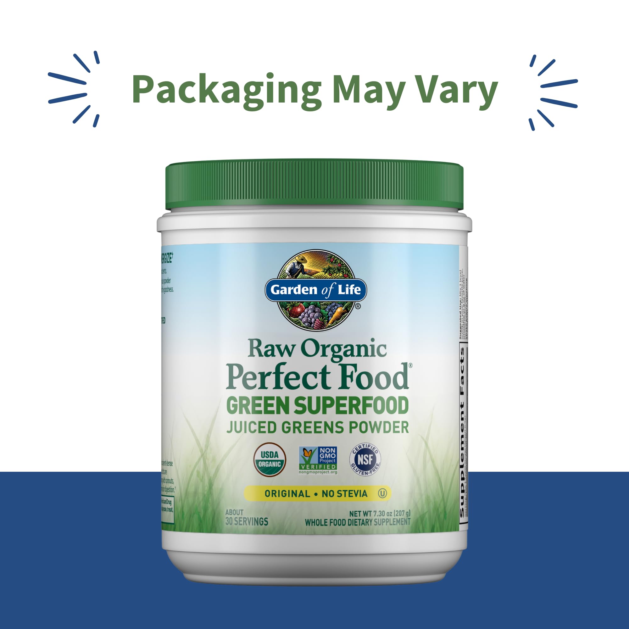 Garden of Life Raw Organic Perfect Food Green Superfood Juiced Greens Powder