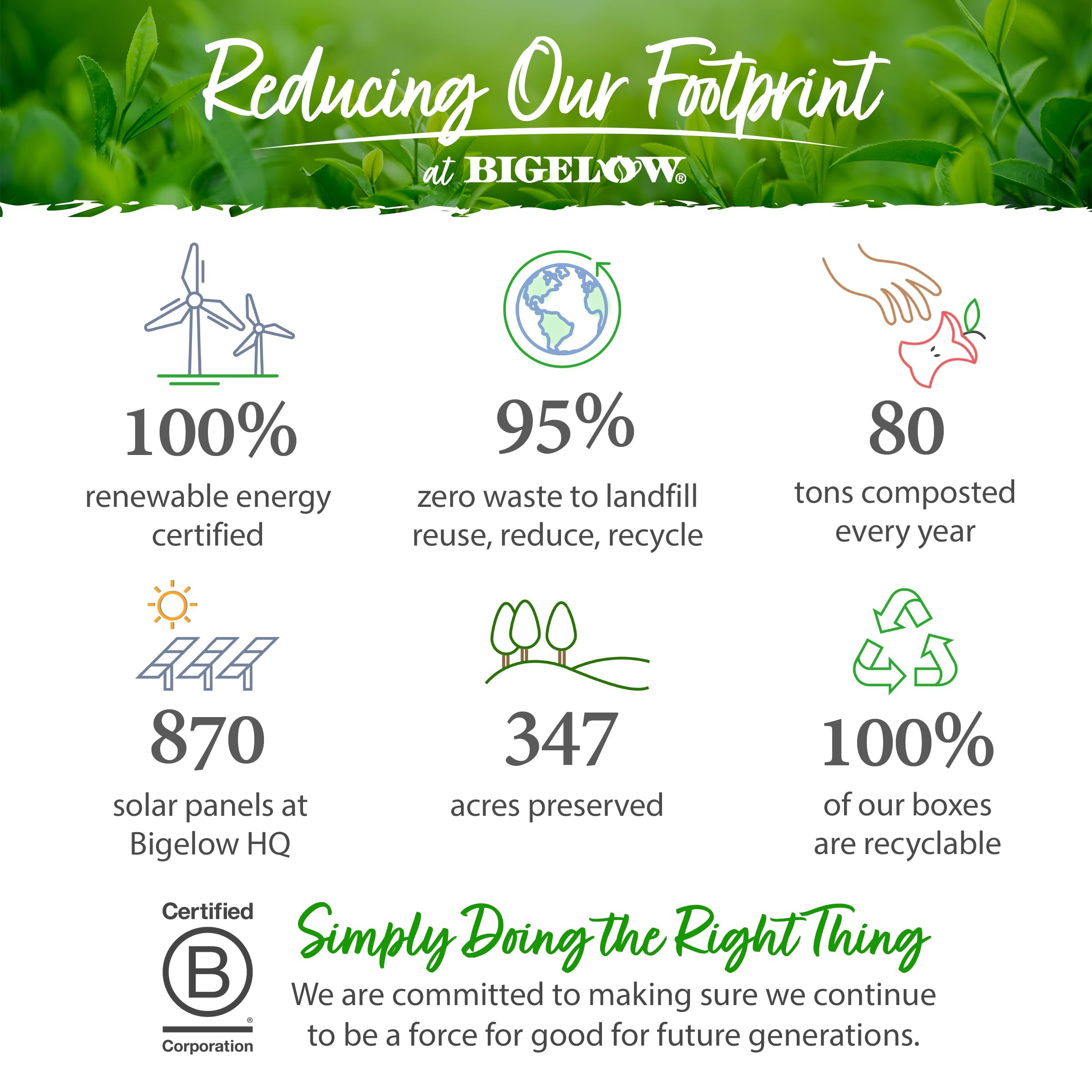 Bigelow Tea Benefits Calm Stomach Ginger Peach Herbal Tea