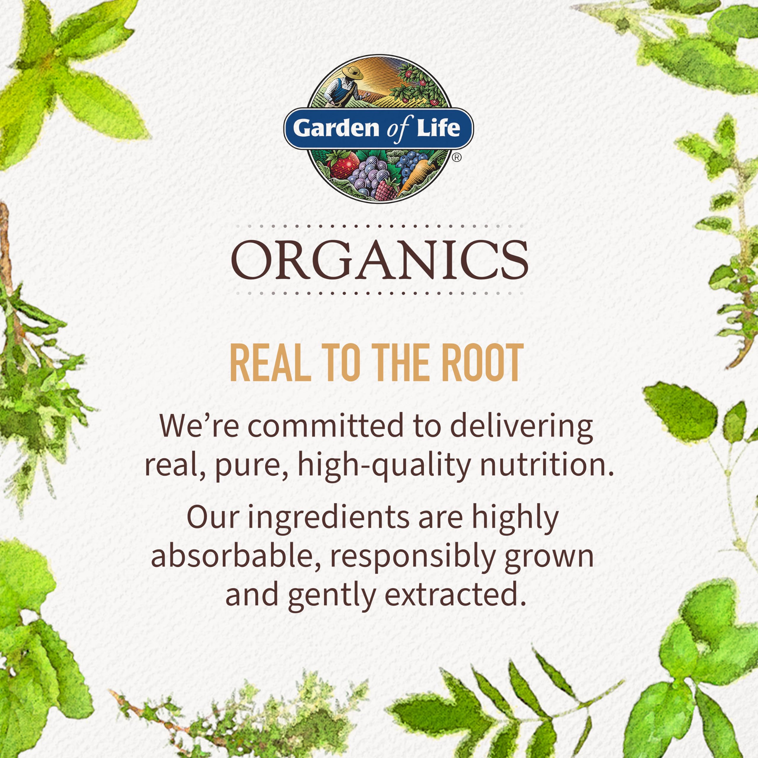 Garden of Life Organics Elderberry Gummies for Adults & Kids, 120 Vegan Gluten Free Gummies