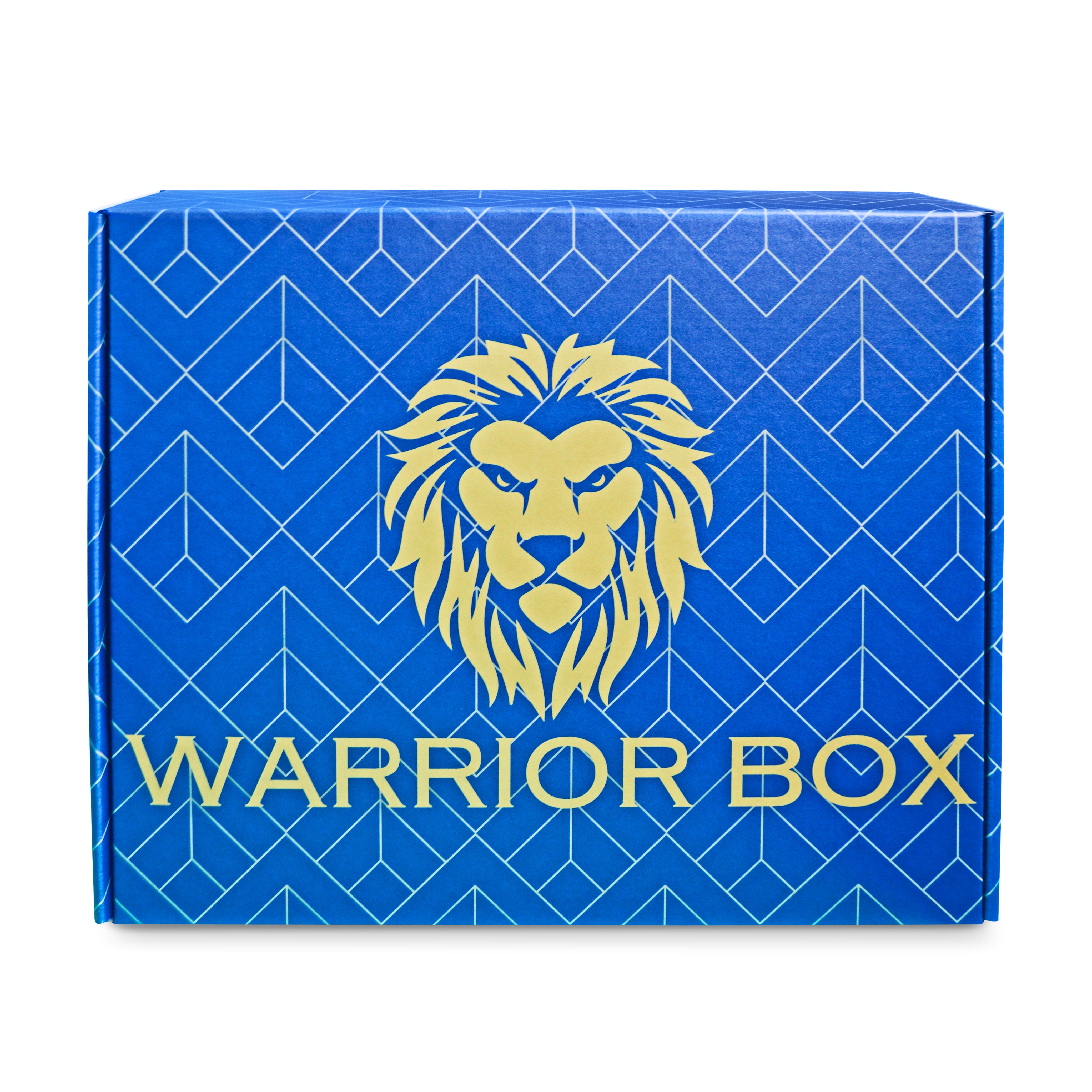 Leo the "Warrior Box" Lion Cares Package